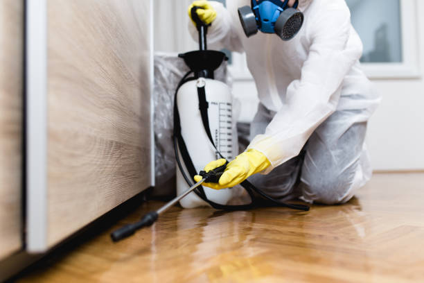 Best Local Pest Control Services  in Scappoose, OR