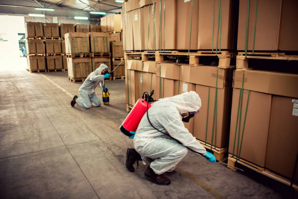 Best Emergency Pest Control  in Scappoose, OR