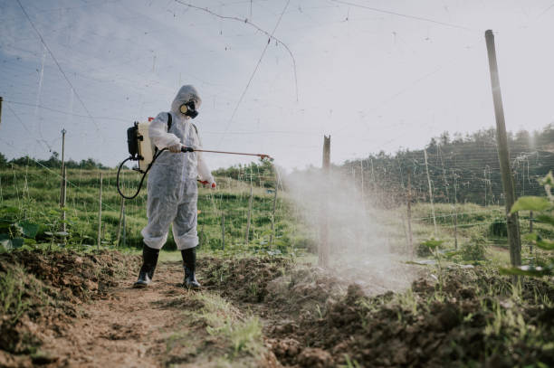 Best Pest Control for Homes  in Scappoose, OR