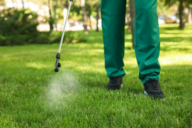 Best Mosquito Control Services  in Scappoose, OR