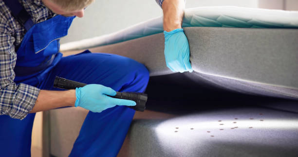 Best Pest Control Near Me  in Scappoose, OR