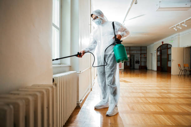 Best Affordable Pest Control Services  in Scappoose, OR